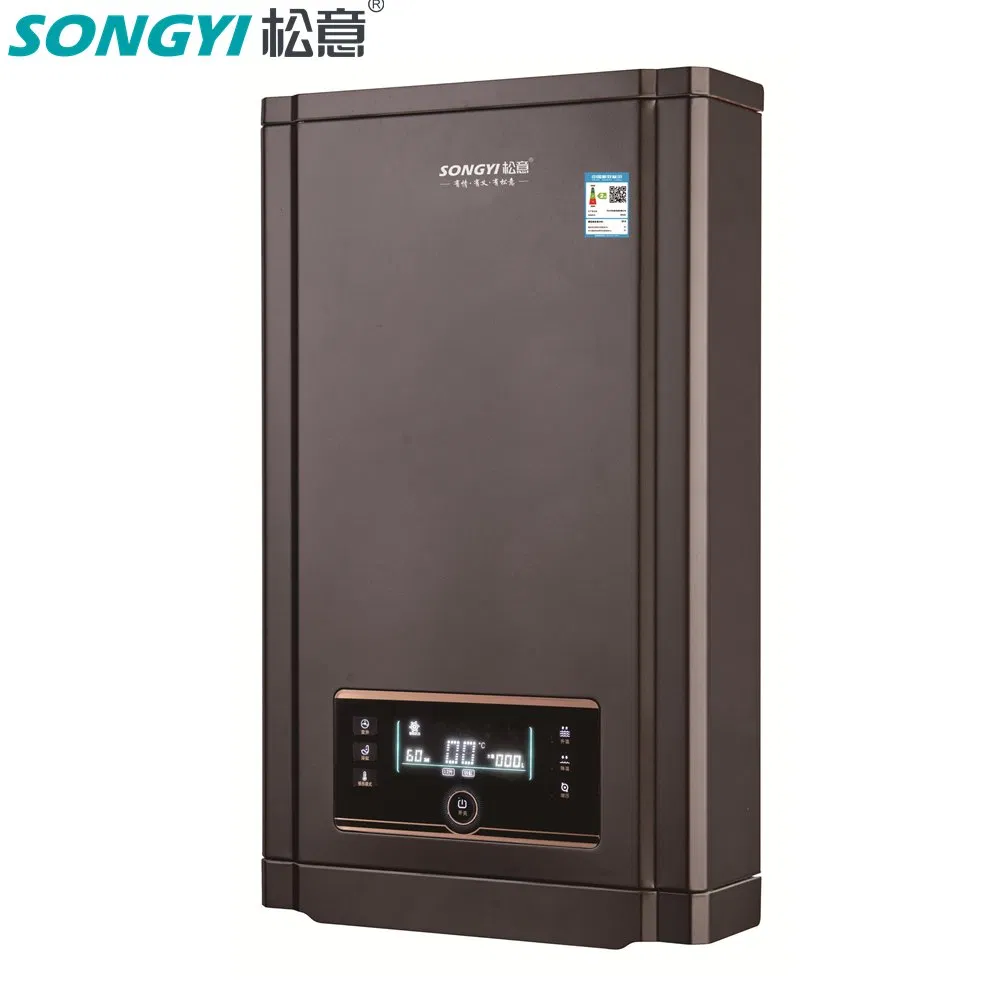 24 Hours Constant Temp Comfortable Instantaneous Heating Gas Water Heater