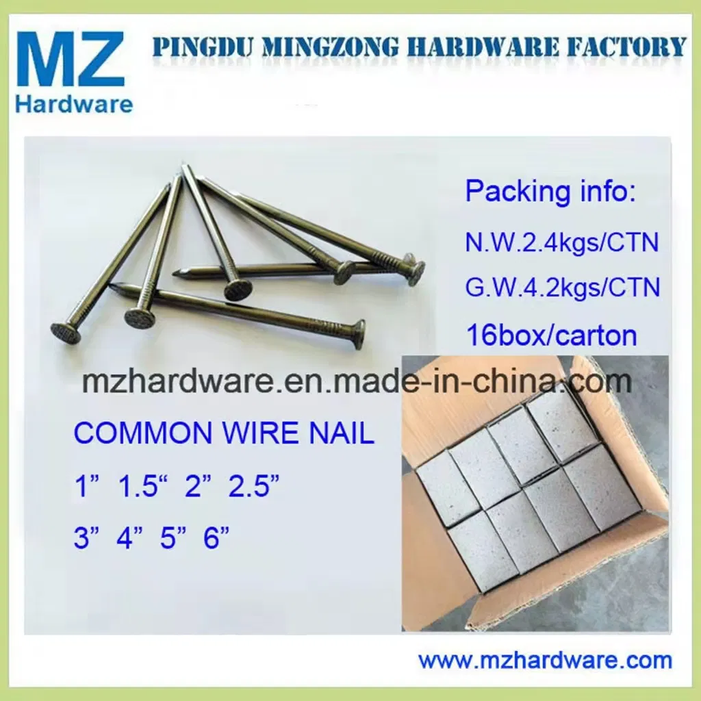 Polished Bright Common Iron Wire Nail Made by Q195 Material