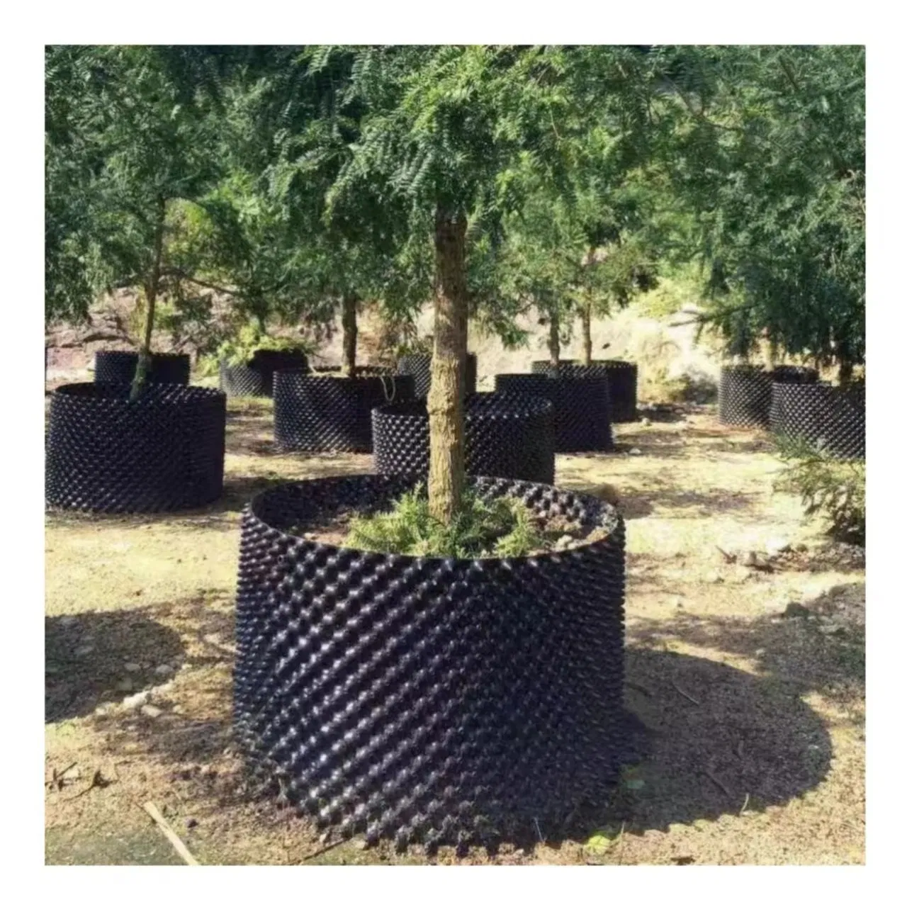 Complete Air Pruning Pot Set with Root Trimmer for Healthy Plant Growth