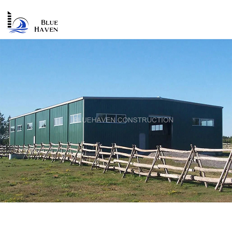 Low Cost Steel Frame Poultry Farm Design for Chicken / Duck House