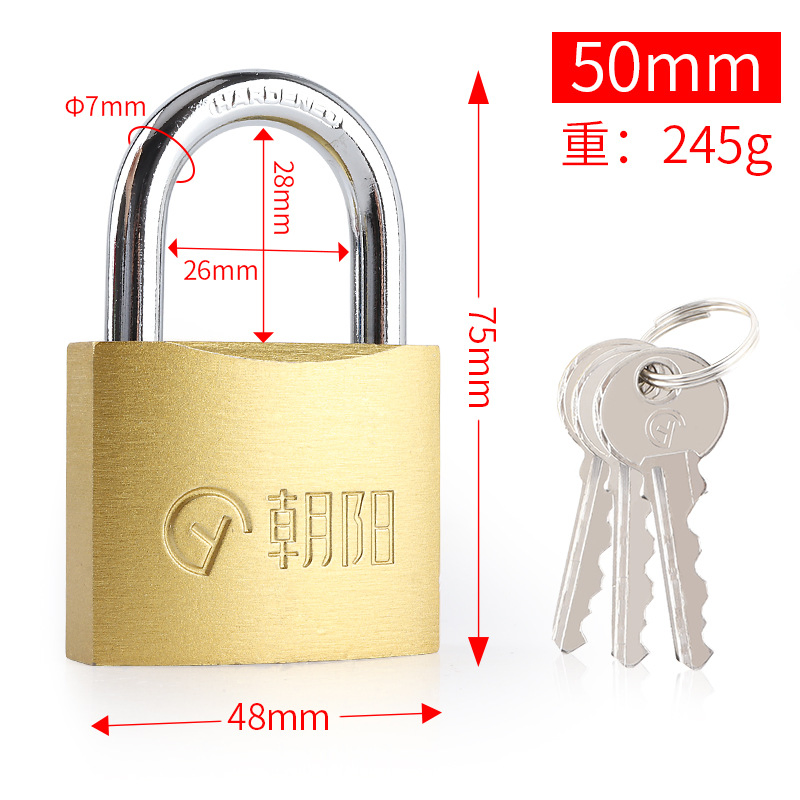Thick Imitation Copper Door Padlock