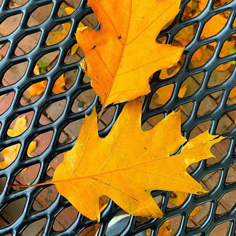 High Filtration Efficient Protective Metal Gutter Guard Mesh for Shopping Mall Gutters