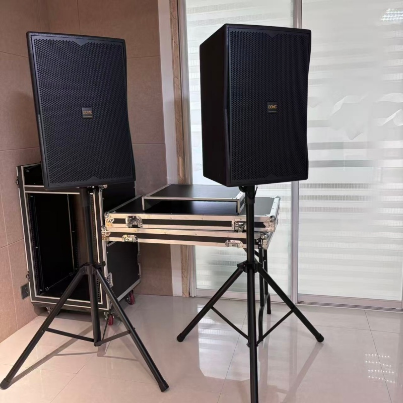 Domc K215 15-Inch Speaker with 45Hz-20kHz Response and High Sensitivity