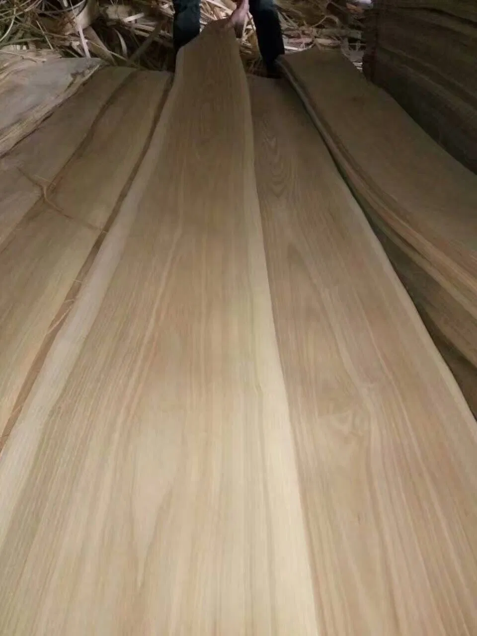 Slicer Fancy Ash Veneer in 0.50mm From Factory
