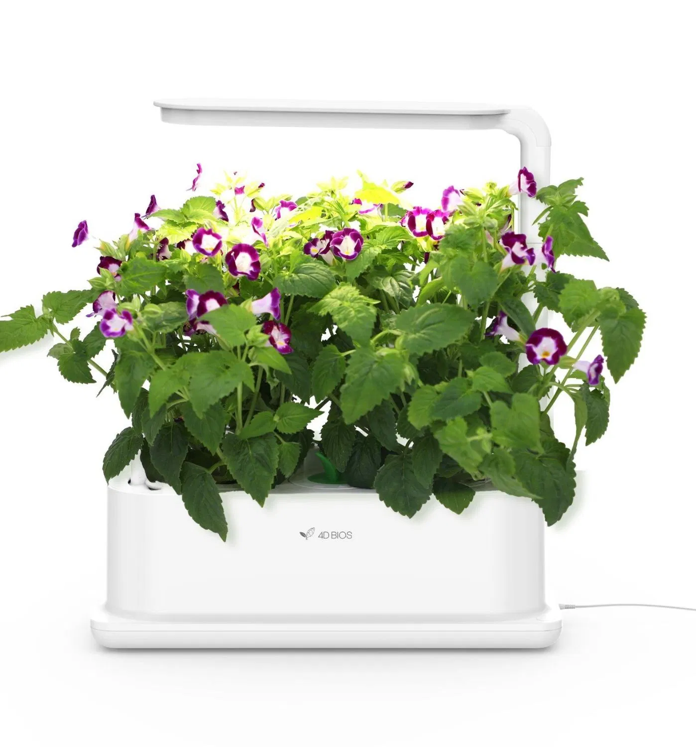 Hot Selling Hydroponic Indoor Garden System with LED Grow Lights
