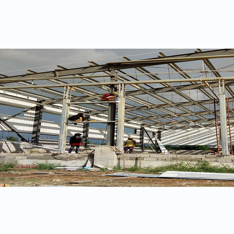 Low Cost Factory Light Steel Frame Workshop Structure Self Storage Shed with Factory Price