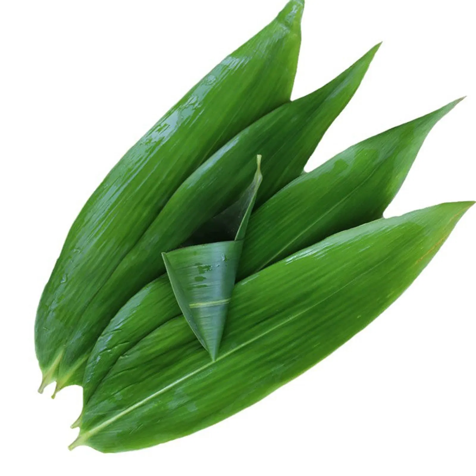 Fresh Bamboo Leaf Sushi Plate Chinese Dragon Boat Festival Snacks Wrapped in Leaves Party Leaf Plate Decor