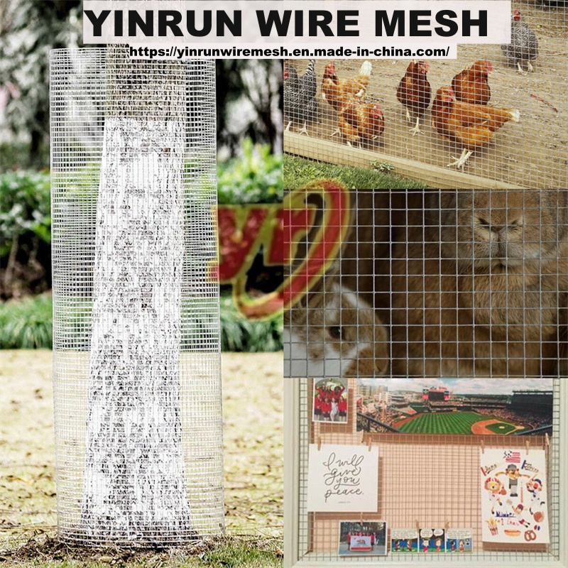 Anti-Rust Galvanized Welded Wire Mesh for Long Lifespan, Advanced Technology, Reliable Quality