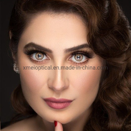 2PCS/Pair Monthly Color Cosmetic Contact Lenses Colored Lenses for Eyes/Can OEM Customized Package