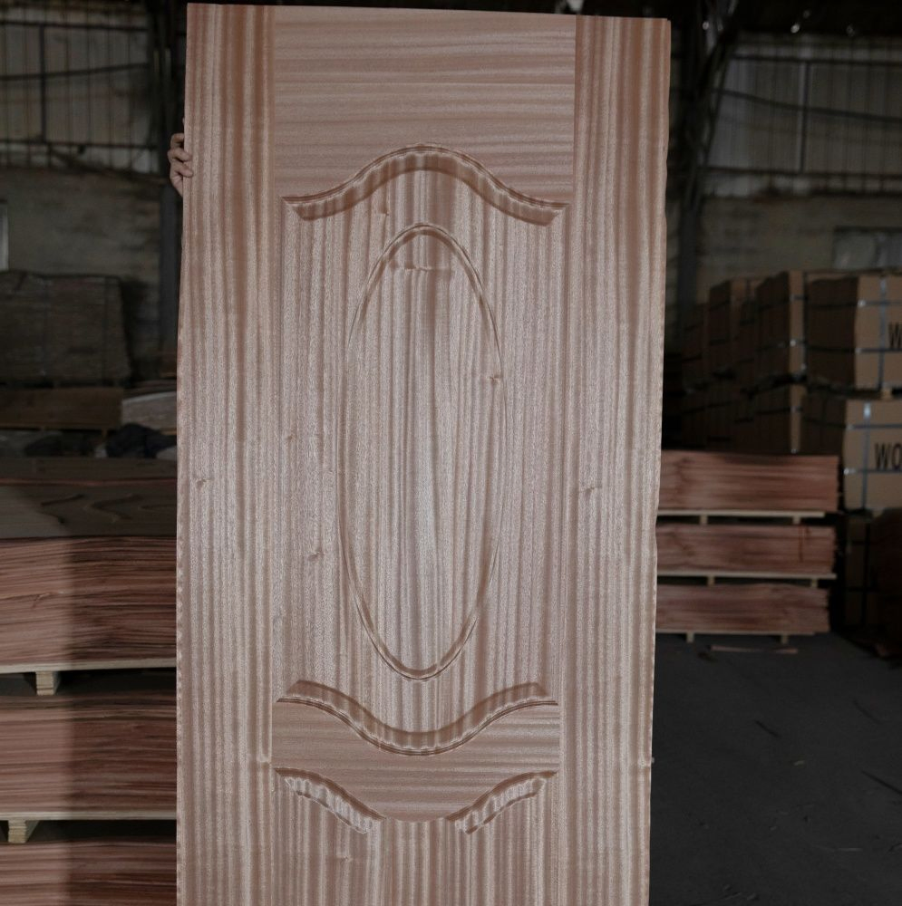 Durable Door Skin Affordable Cost for Residential Building Projects