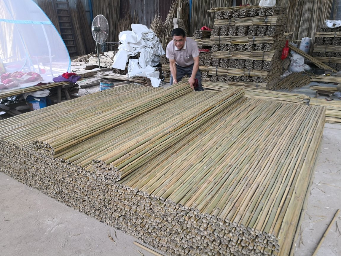 Bamboo Fences for Backyard and Garden