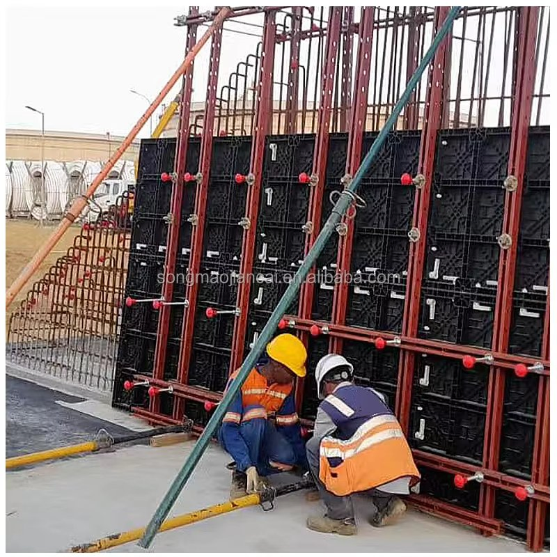 Songmao Reusable Concrete Formwork Plastic Formwork for Wall and Column Construction