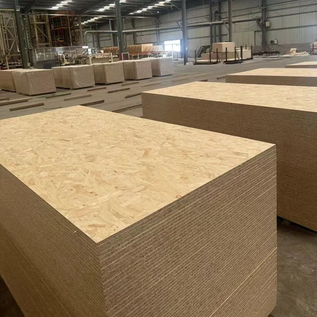 9mm 12mm 18mm Waterproof OSB Board Wood Panels OSB Manufacturer
