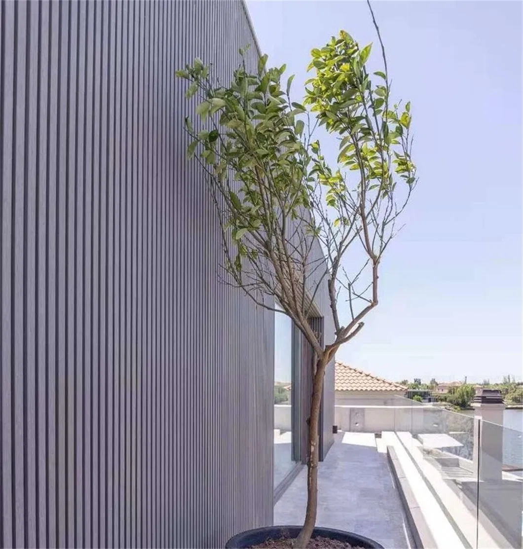 China Factory Supply WPC Panels Composite Wood Engineered Outdoor Wall Cladding