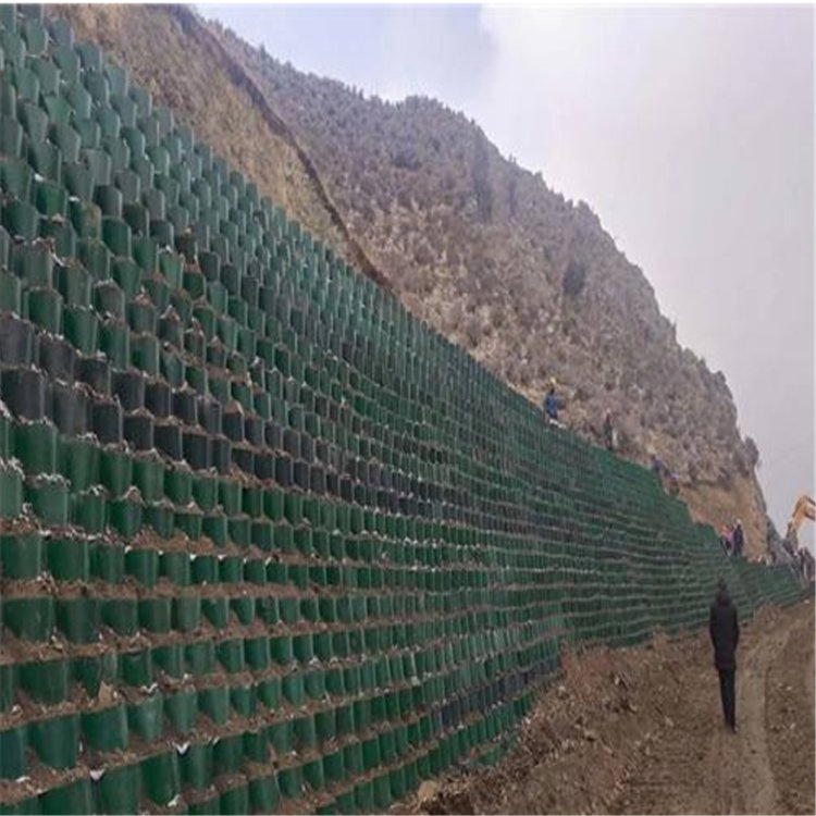 Plastic HDPE Geocell HDPE Geocell Price Driveway for Road and Slope Protection Geocell for Ground Protection