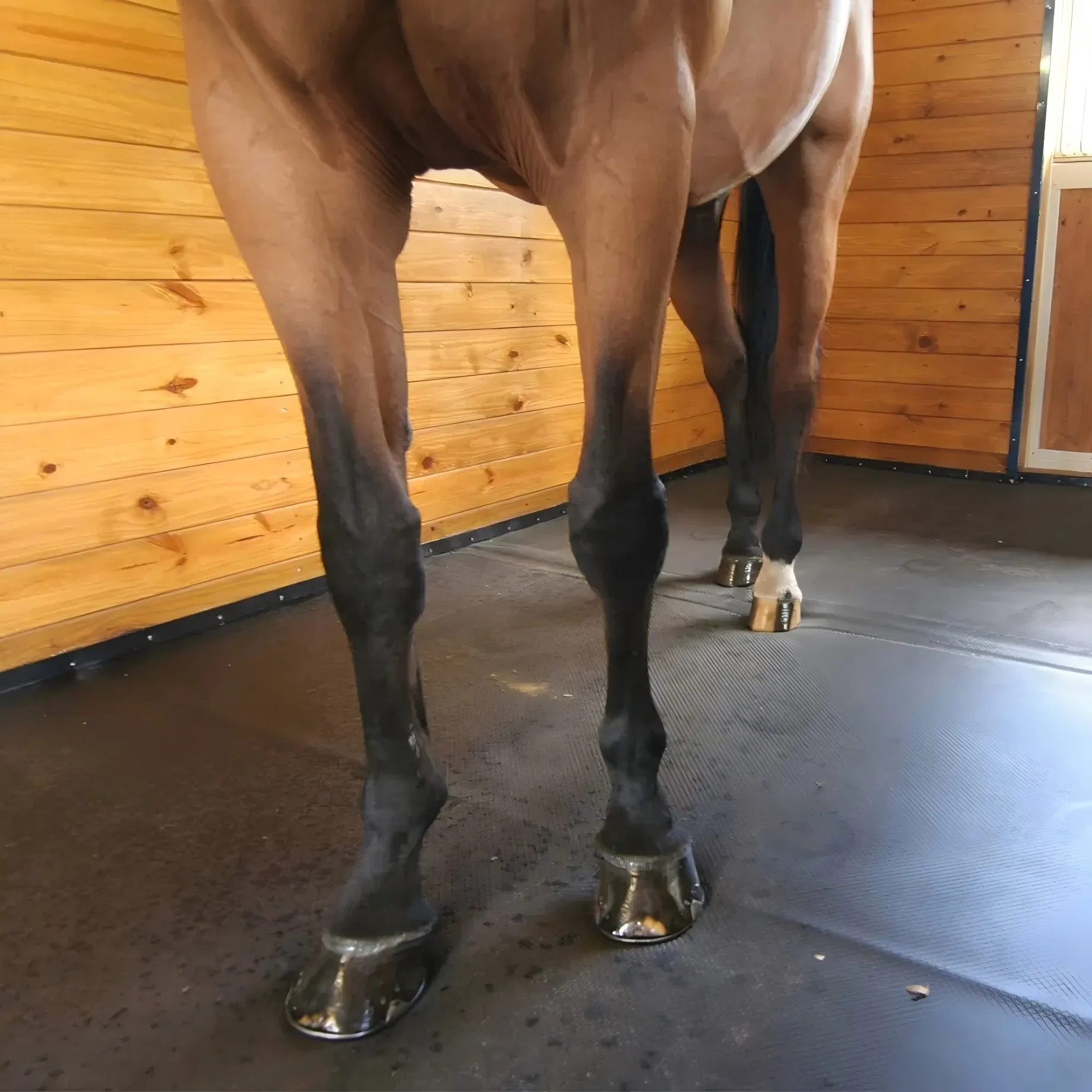 China Made Interlocking Horse Stall Mat ISO Certified 20mm Rubber Tiles