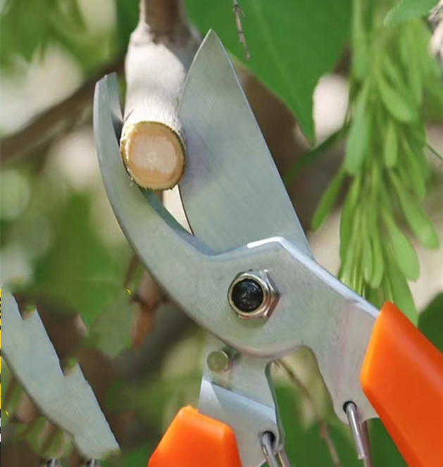 Titans High Quality Professional Sharp Pruning Scissors Pruner Tree Cutter Gardening Pruning Shear