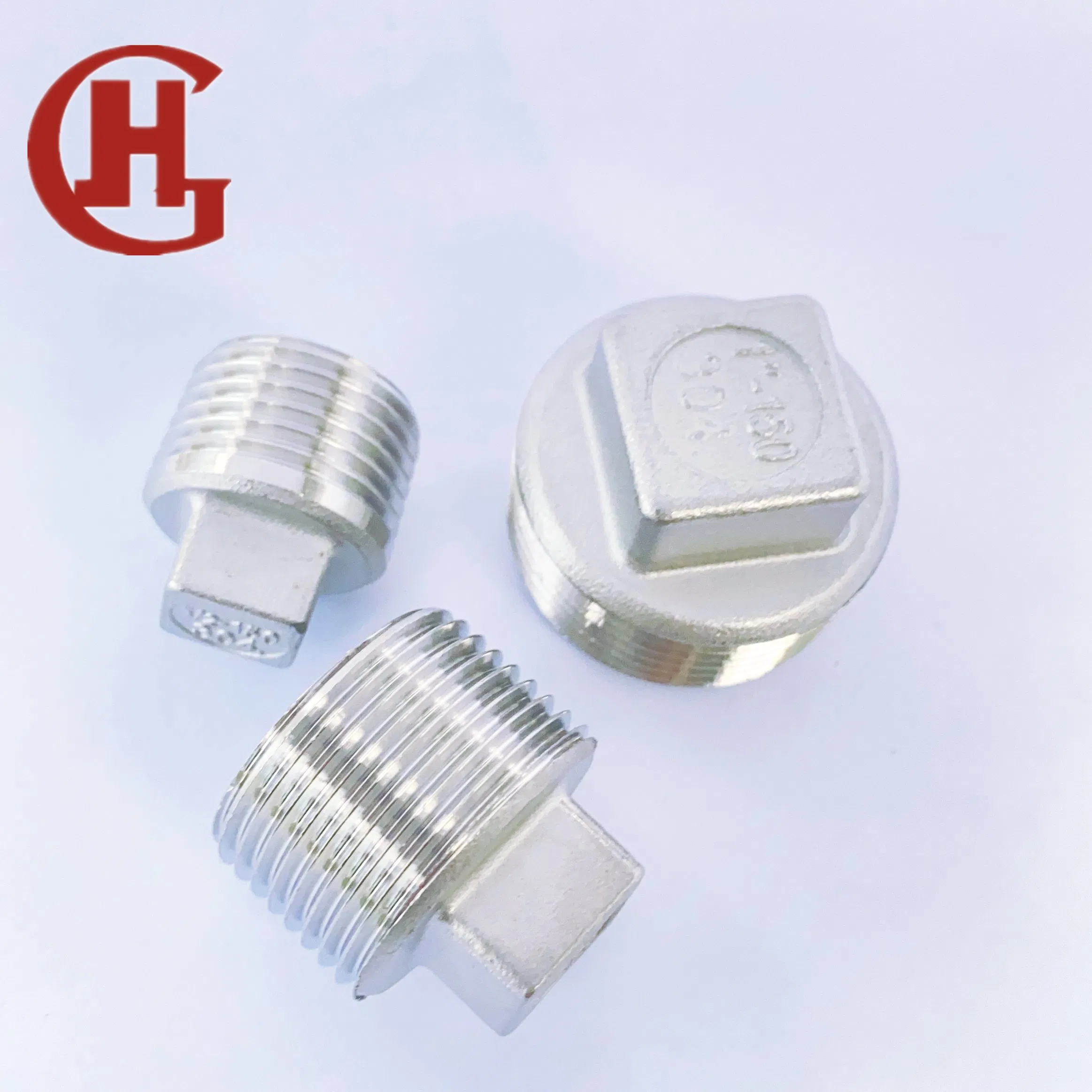 Stainless Steel Pipe Fitting SS304 Thread Screw Plug