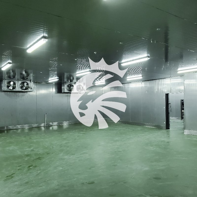 PU Cold Room Sandwich Panel Fireproof Thermal Insulation Panel