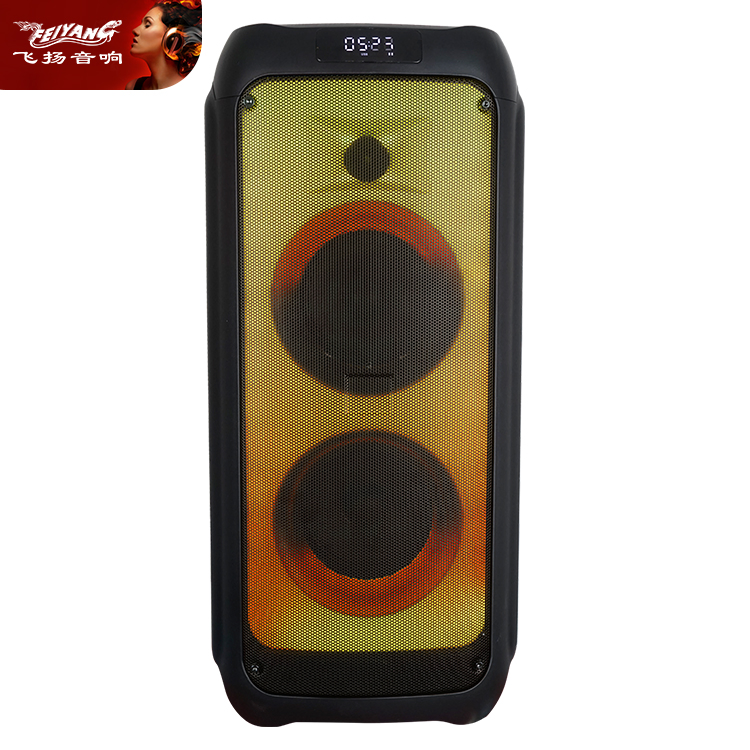 Feiyang DJ Rechargeable Bluetooth Digial Audio Speaker with Fire Light