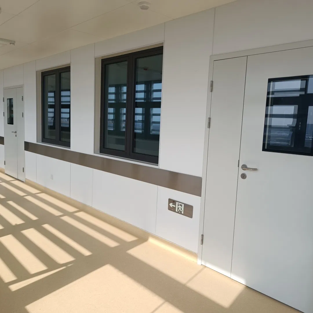 CE Certified Air Tight Leaf High Performance Cleanroom Door Manufacturer Direct for Bio-Safety Purification