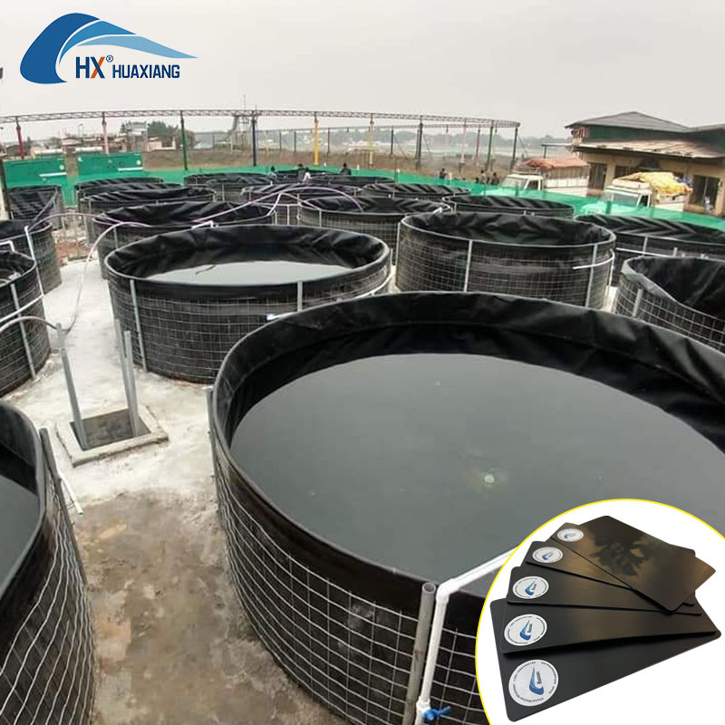 HDPE Plastic Waterproofing/Anti-Seepage Smooth Surface HDPE Geomembrane for Fish Pond/Agriculture