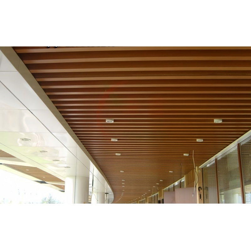 Customized Interior Decoration Aluminium Curved Ceiling Panel for Foshan