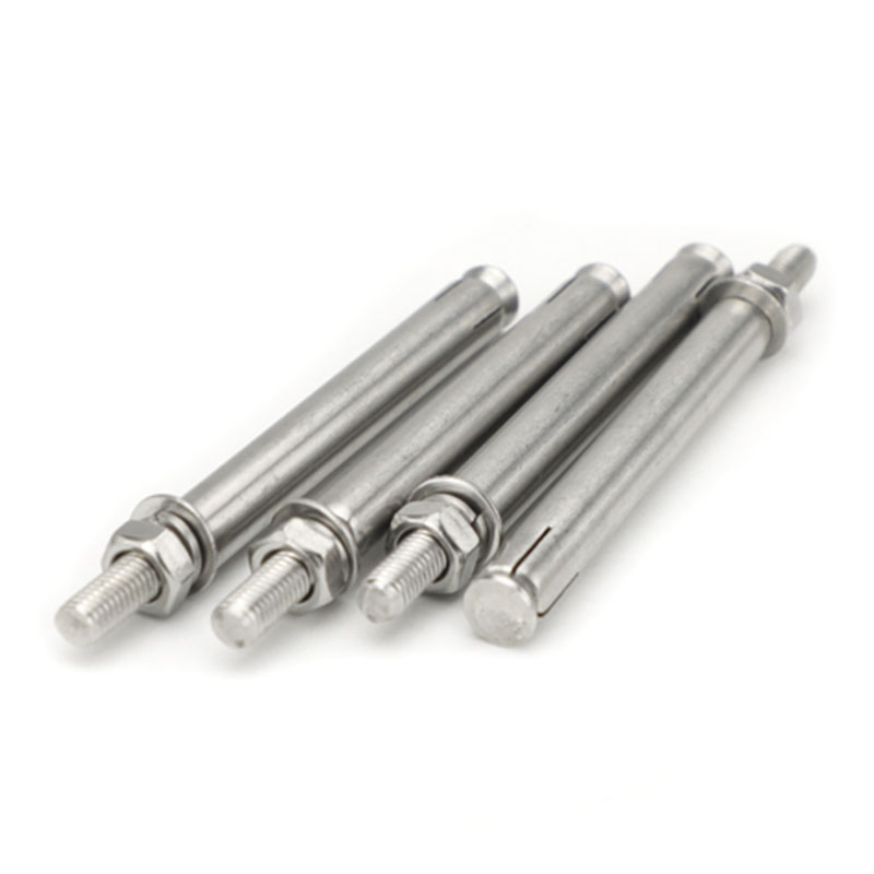 Heavy-Duty Stainless Steel Expansion Bolt Pack for Shipping