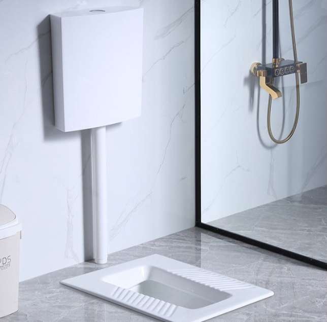 Fluor Dual-Flush Toilet Water Tank High Standard Plastic Bathroom Sanitary Ware