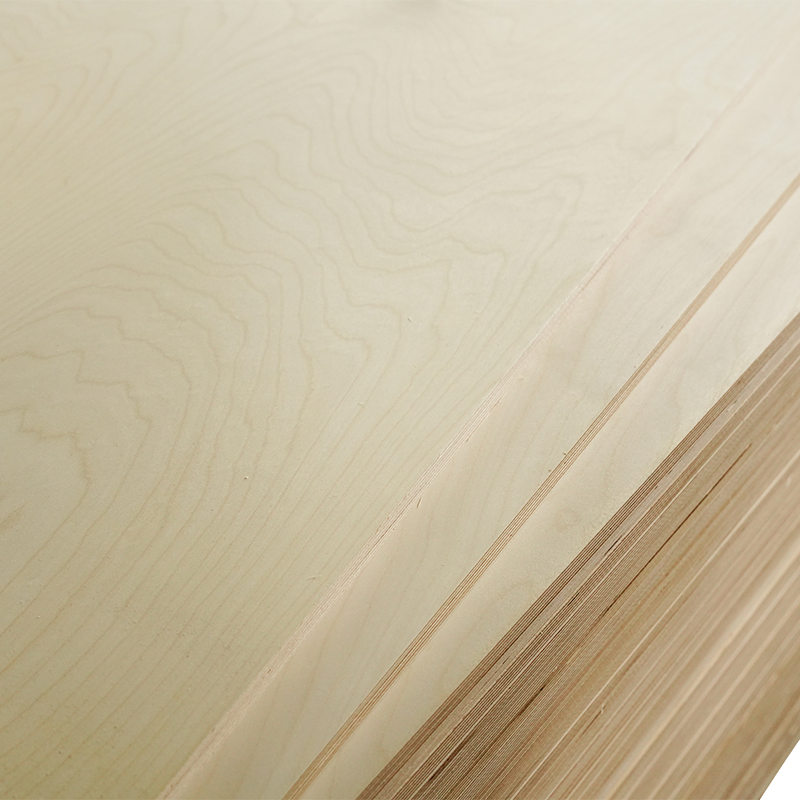 CE Certified 3mm 15mm 18mm Birch Plywood