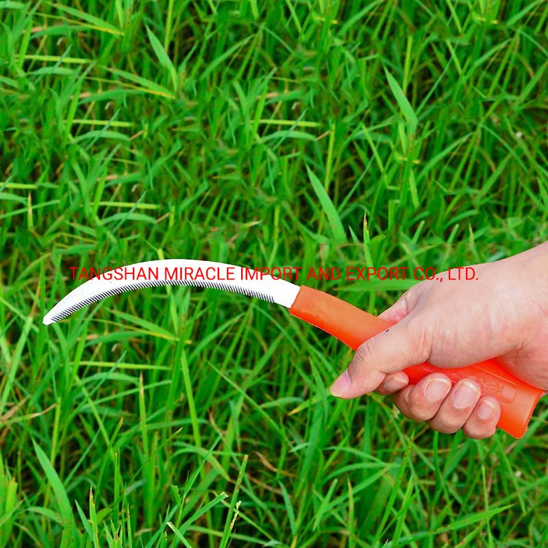 Serrated Sickle with Plastic Handle Agricultural Sickle for Weeding
