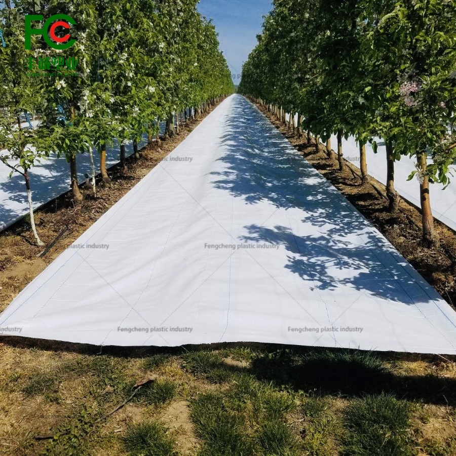 Eco-Friendly White Weed Mat for Garden Ground Cover and Weed Prevention