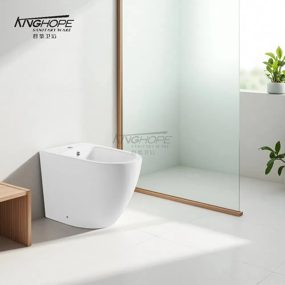 Minimalist Style Bathroom Furniture Ceramic Sanitary Ware Floor Standing Handheld Bidet