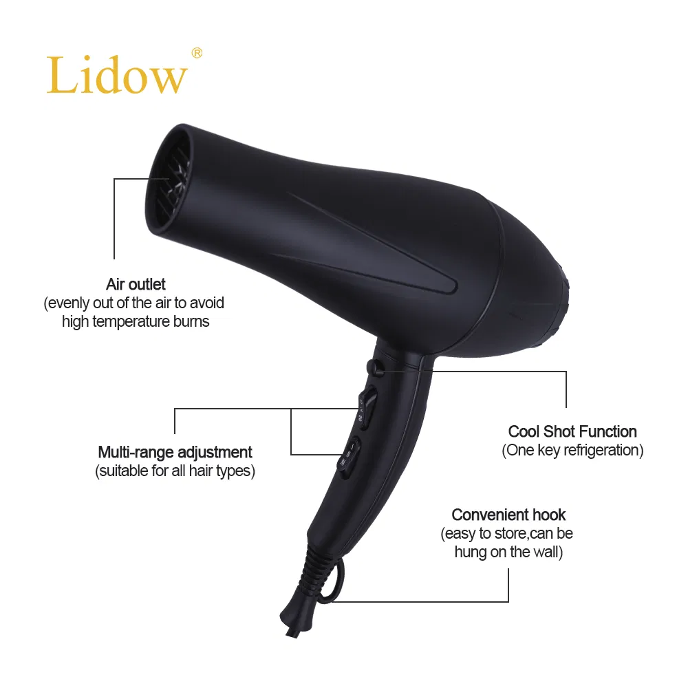 AC Motor Professional Blow Dryer Secadora De Cabello Strong Power Salon Hair Dryer