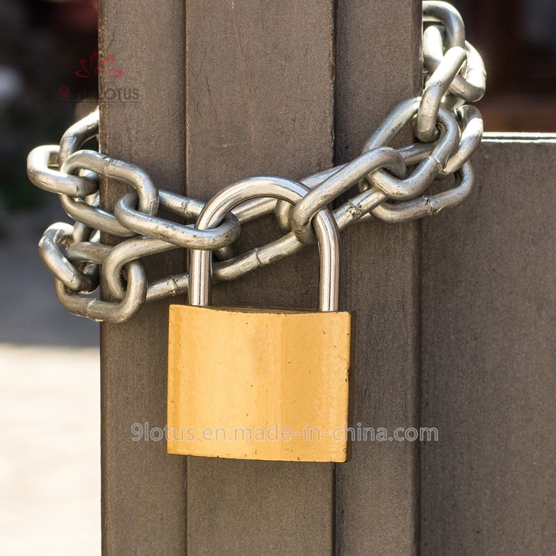 High Quality Unique Shape Brass Padlock 50mm