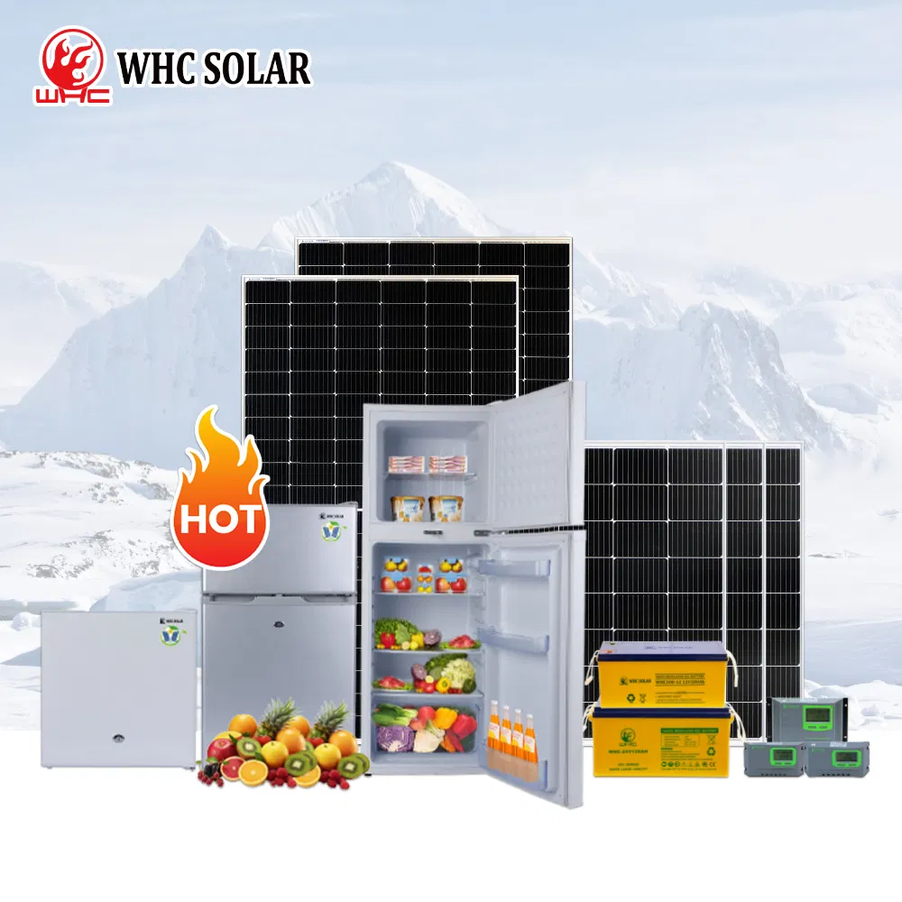 Whc Electric National Cold Equipment Home Hot Sale Fruit Vegetable Stainless Steel Upright Appliance 50L Frostfree Double Door Top-Freezer Refriger