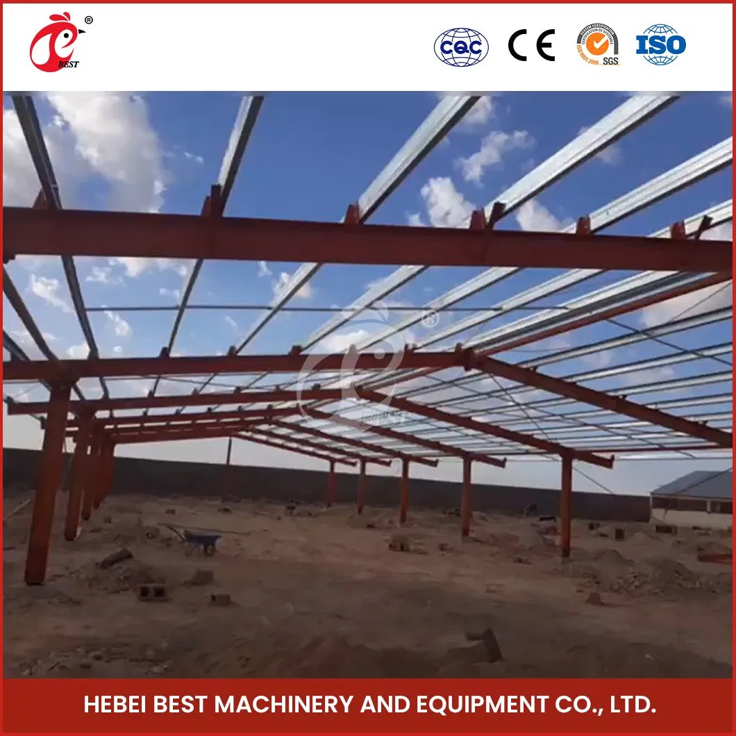 Bestchickencage Steel Poultry House China Steel Material Poultry Cage Manufacturer OEM Custom Energy Saving Steel Material Poultry Cage for Layers