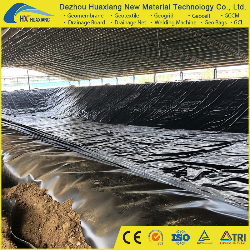 Factory Price Dam Fish Farm Tank Pond Liner HDPE Geomembrane