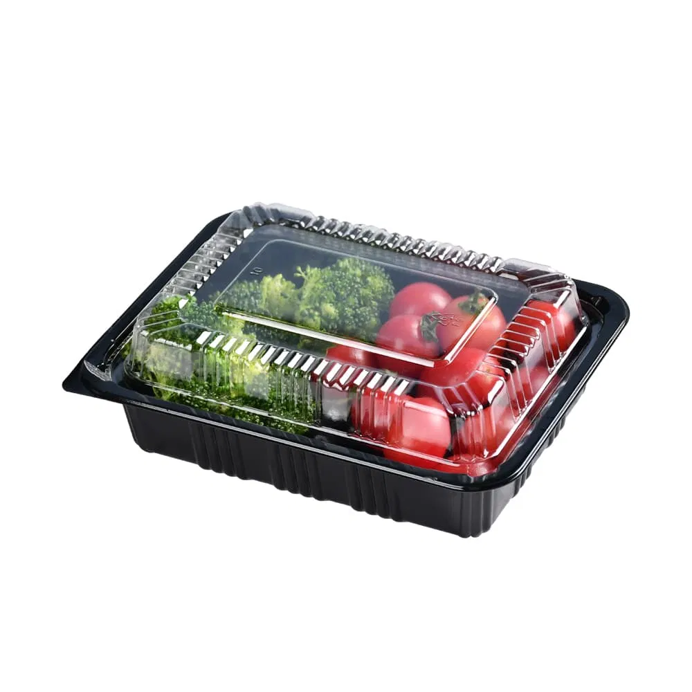 Factory Wholesale Eco Friendly Takeaway Plastic Food Container Disposable Microwave Takeout Togo Lunch Disposable Packaging Box