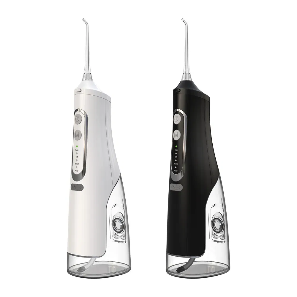 Water Flosser 4-Speed Pulse Water Jet Tooth Washer 310ml Water Flosser Electric Toothbrush Daily