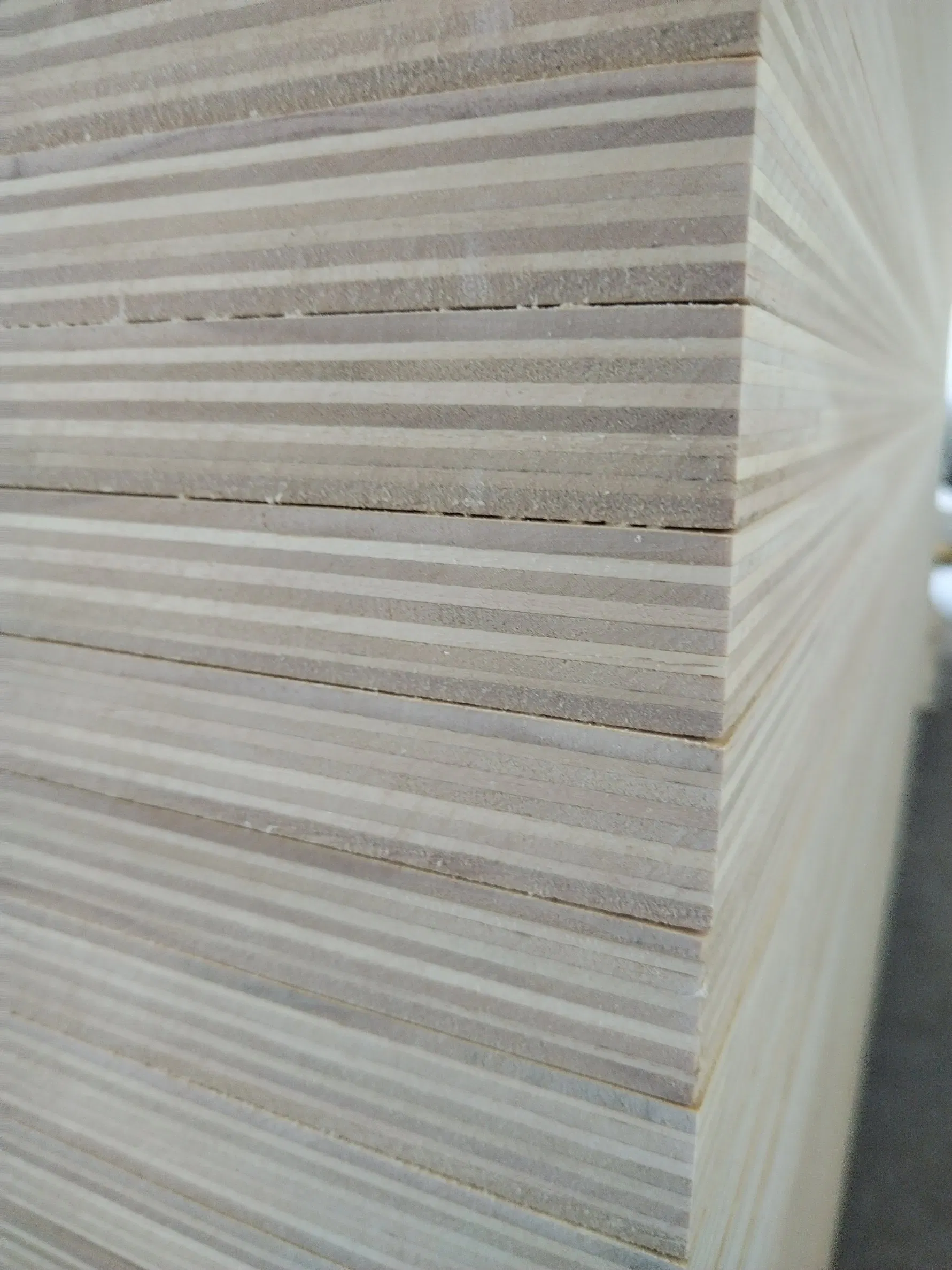Factory Direct Eco-Friendly Commercial Plywood for Sheathing Material