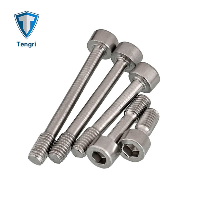 Auto Parts Stainless Steel 304 316 DIN912 Hex Socket Chess Head Captive Screw with High Quality