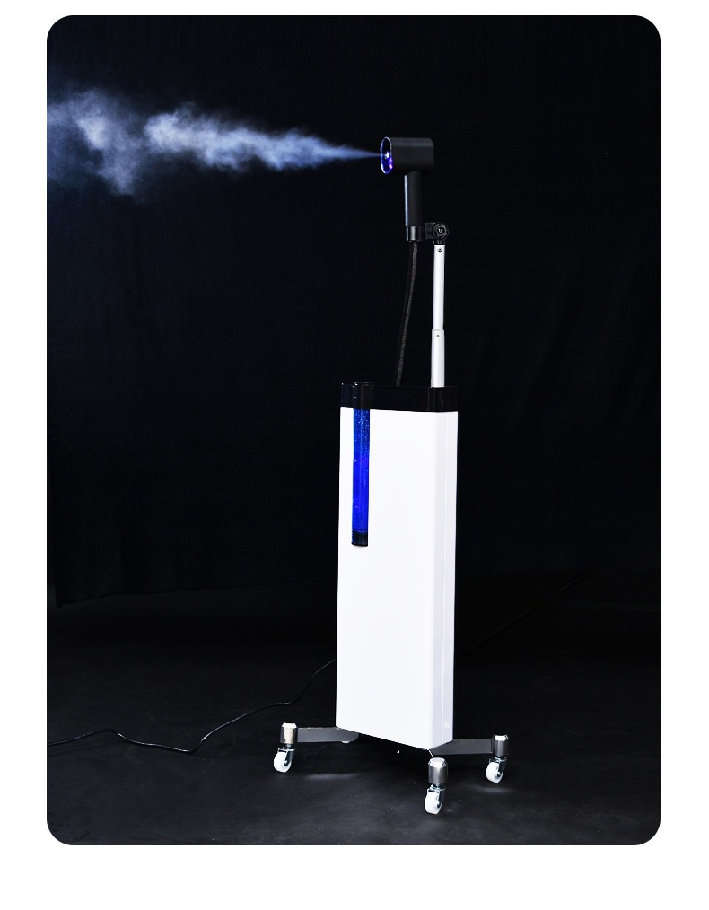 Nano Vertical Blue Light Sprayer 1300W Newly Operation Panel Hair Steamer Machine for Hair Care