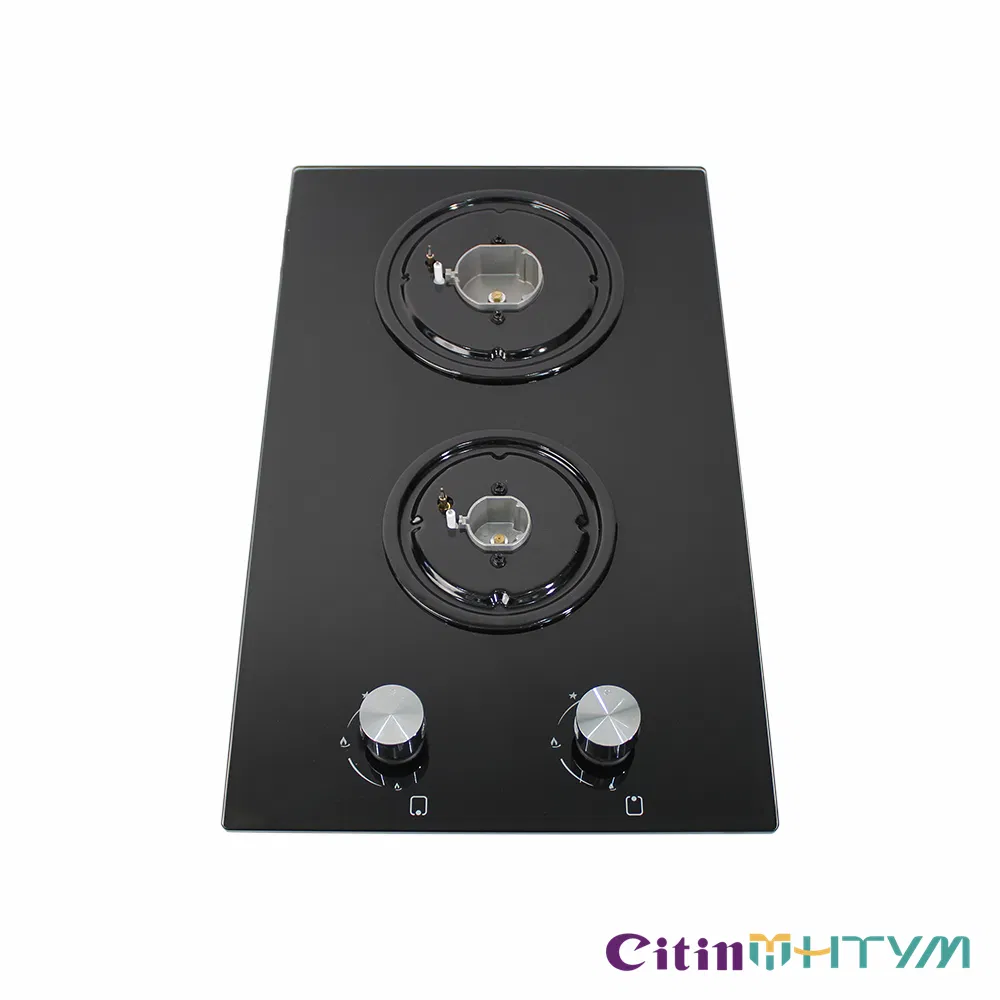 Sleek 2 Burners Gas Stove Cooktop with Efficient Vertical Gas Hob Features