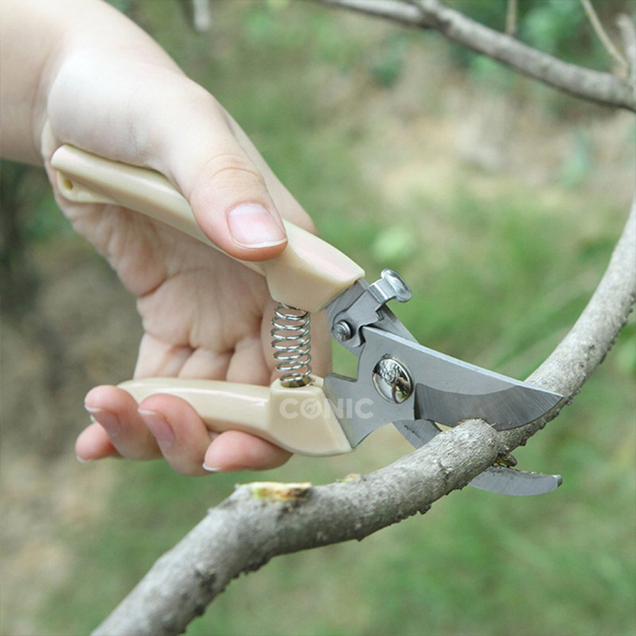 Stainless Steel Garden Scissors Grafting Tool Secateurs Tree Pruning Shears Garden Shears