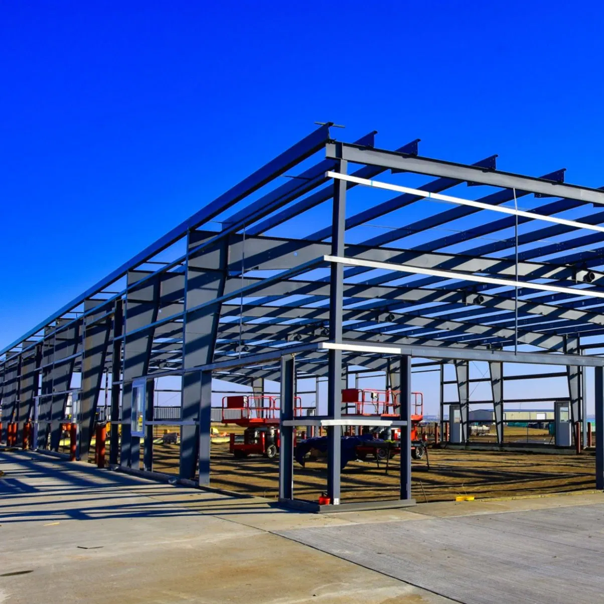 Hot Sale Prefabricated Steel Structure Building for Processing Workshop