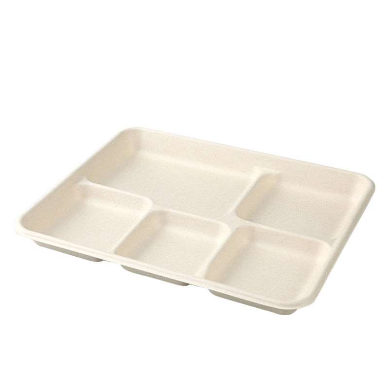 Disposable Lunch Fast Food Takeaway Food Container Biodegradable Cornstarch Tray