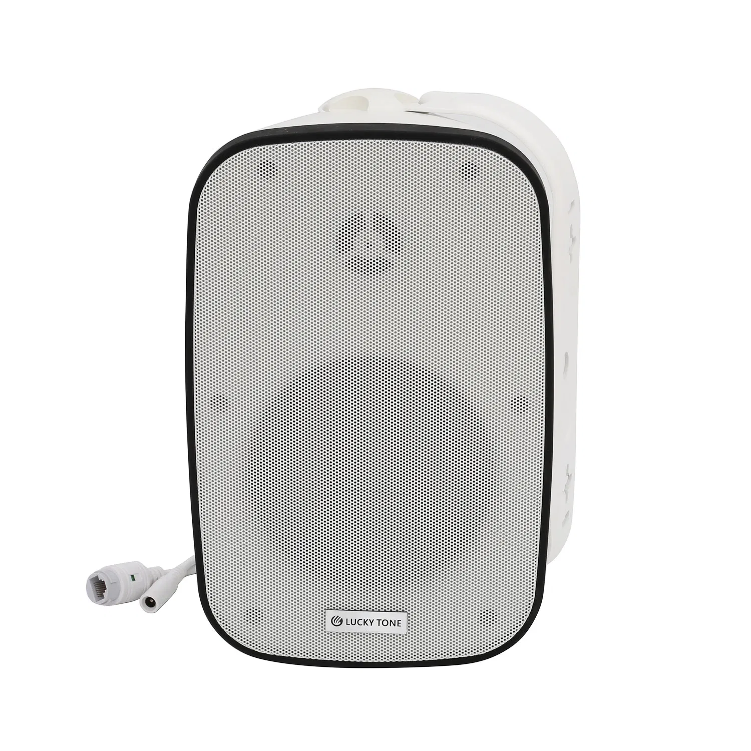 40W IP66 Poe Dante Wall Mount Speaker for Indoor and Outdoor Commercial Audio Applications