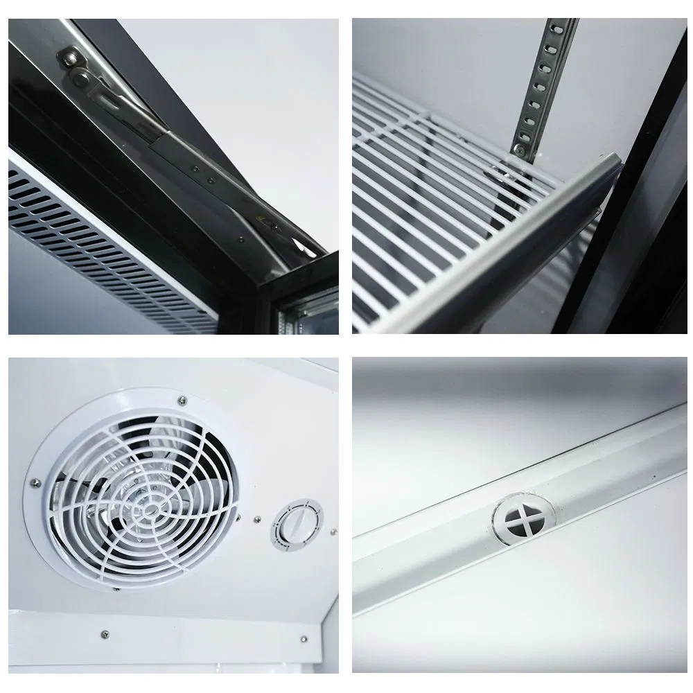 Commercial Upright Freezer Display Cooler with LED Lighting, Adjustable Shelves for Beverages, Beer, and Drinks