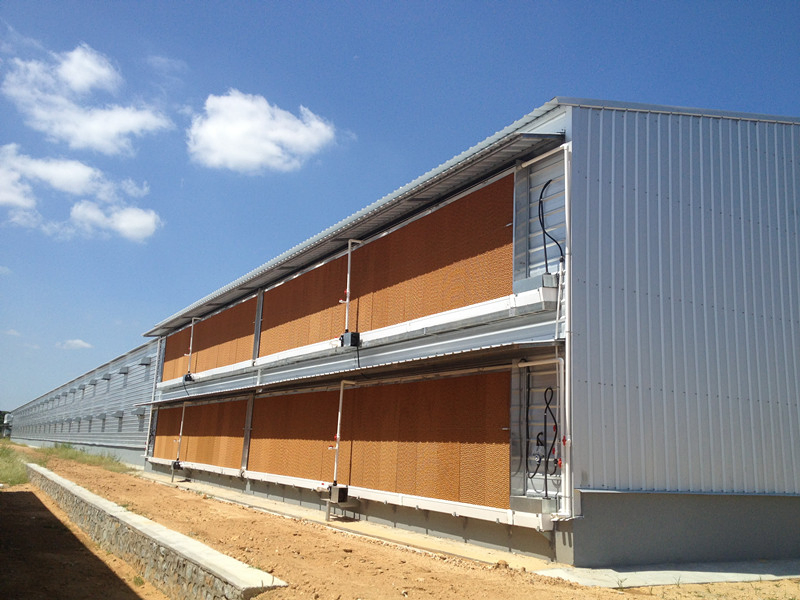 Light Structural Steel Building High Quality Metal Industrial Animals Shed